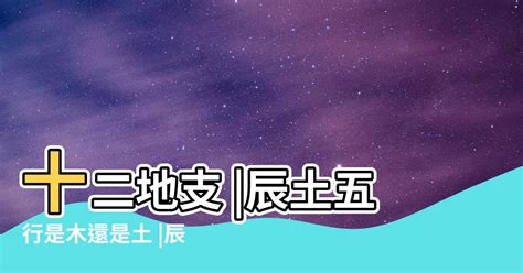 本命屬土|【土屬性】掌握土屬性命格，提升運勢：你的本質解析與注意事項。